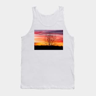 Tree silhouette and beautiful vibrant sunset clouds Tank Top